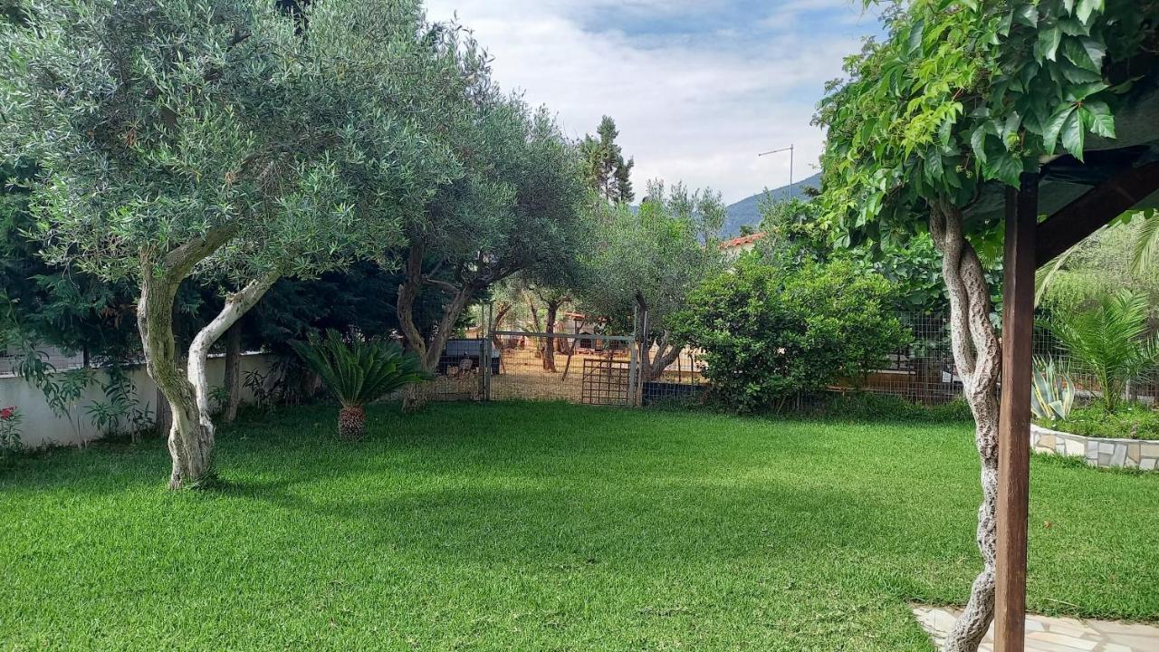 Villa Margiani Халкис Екстериор снимка